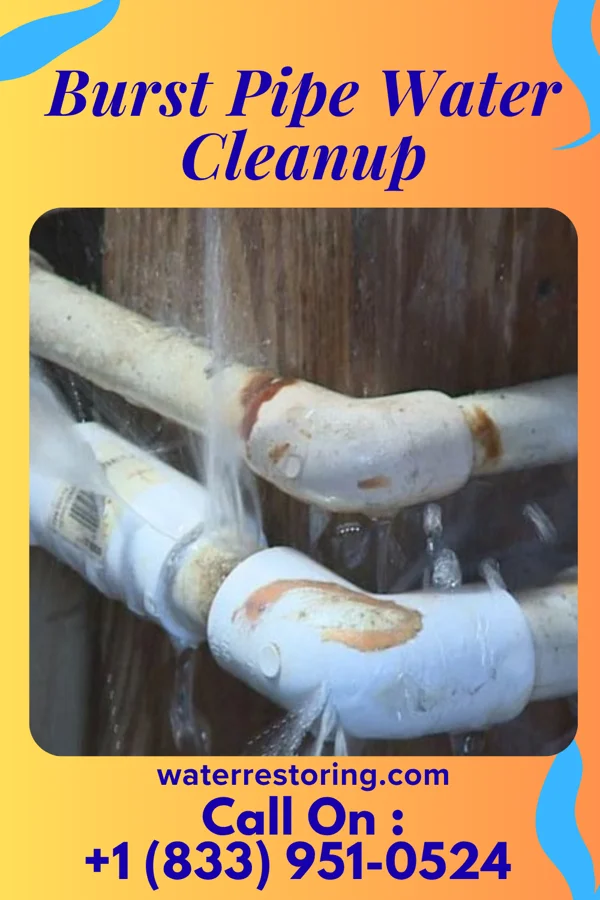 Burst Pipe Water Cleanup in Lennox, SD