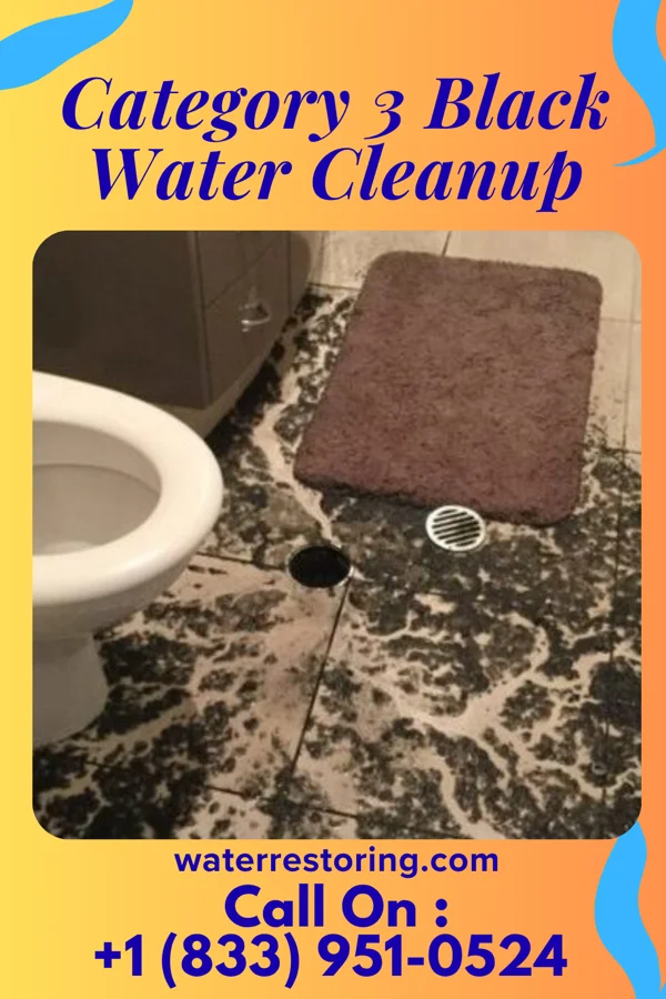 Category 3 Black Water Cleanup in Lennox, SD