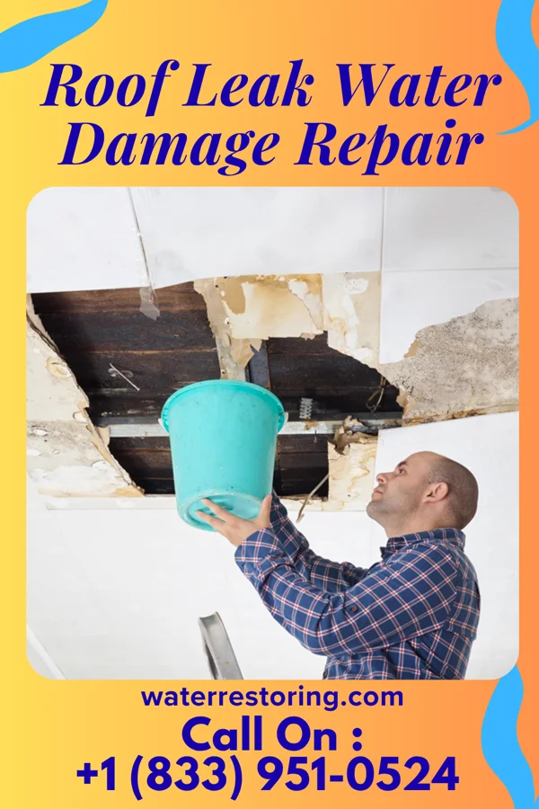 Roof Leak Water Damage Repair in Lennox, SD
